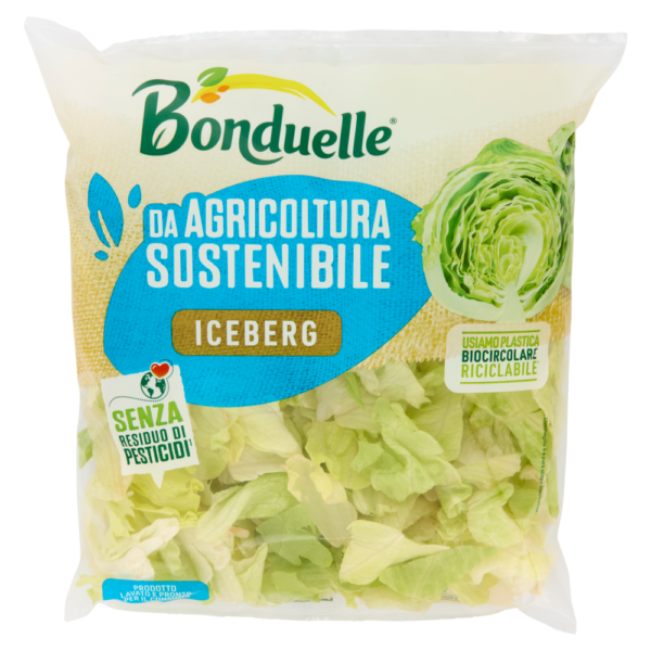Bonduelle iceberg 100 Gr