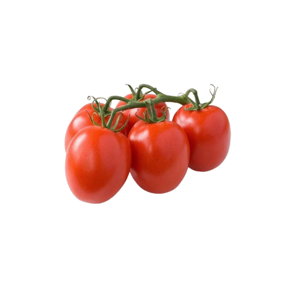 Pomodoro piccadilly sfuso