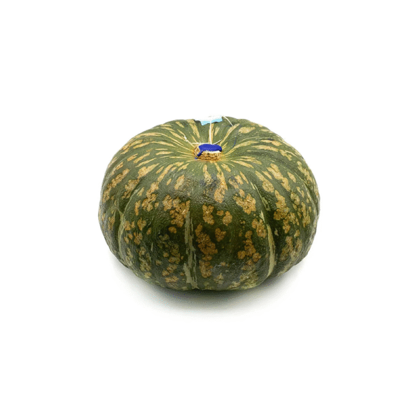 Zucca delica